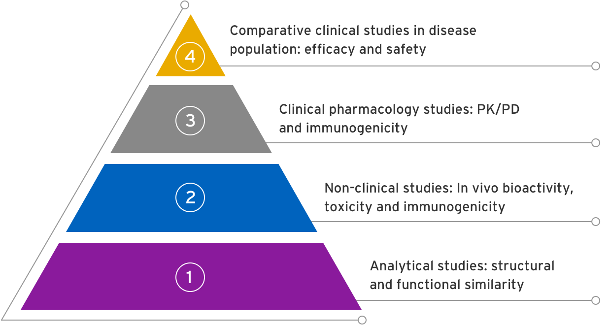 Four-step pyramid illustrating the biosimilar studies process
