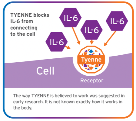 A graphic indicating the TYENNE mechanism of action (MOA). TYENNE blocks IL-6 from connecting to the cell. The way TYENNE is believe to work was suggested in early research. It is not known exactly how it works in the body.